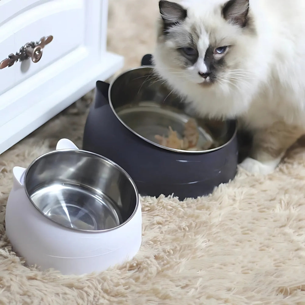 Gamelle inclinée PurrfectAngle pour chat
