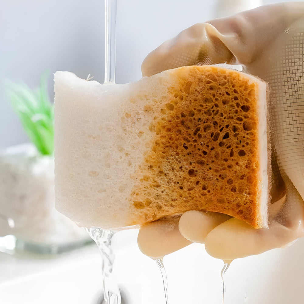 Éponge naturelle en fibre de coco