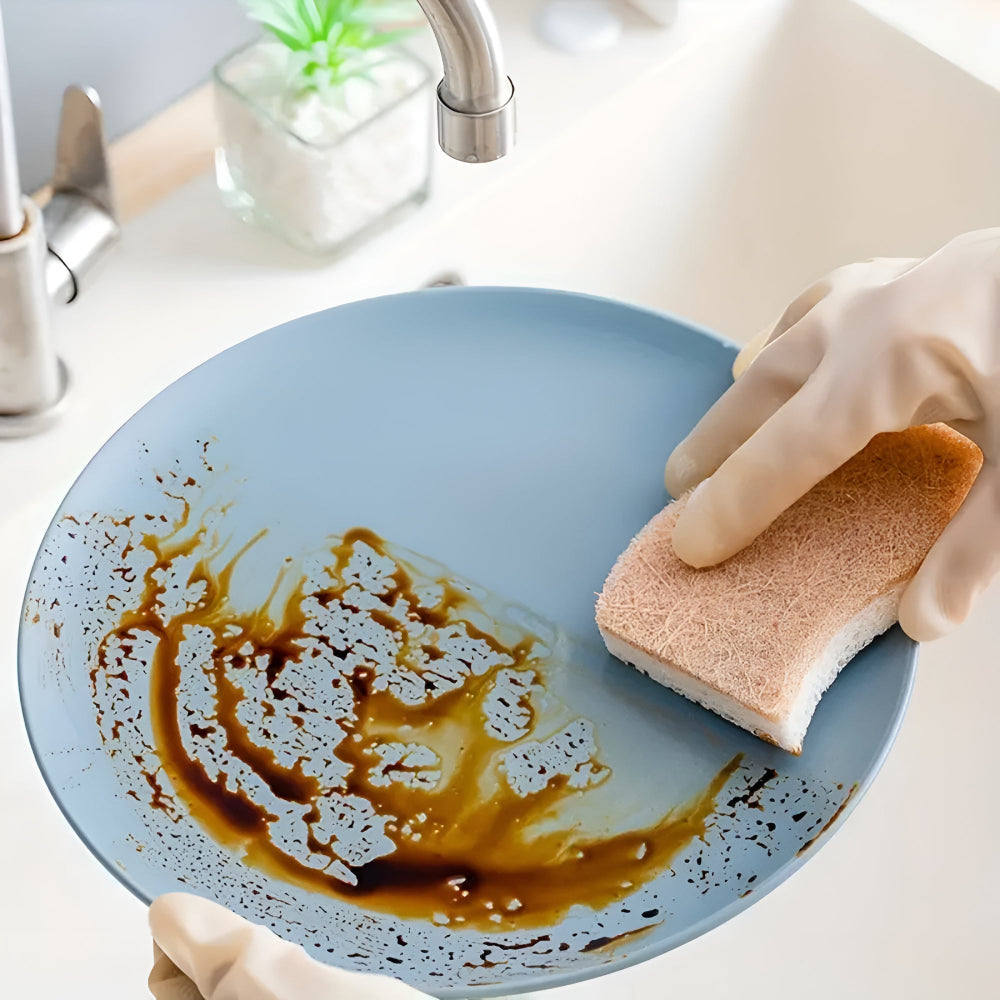 Éponge naturelle en fibre de coco