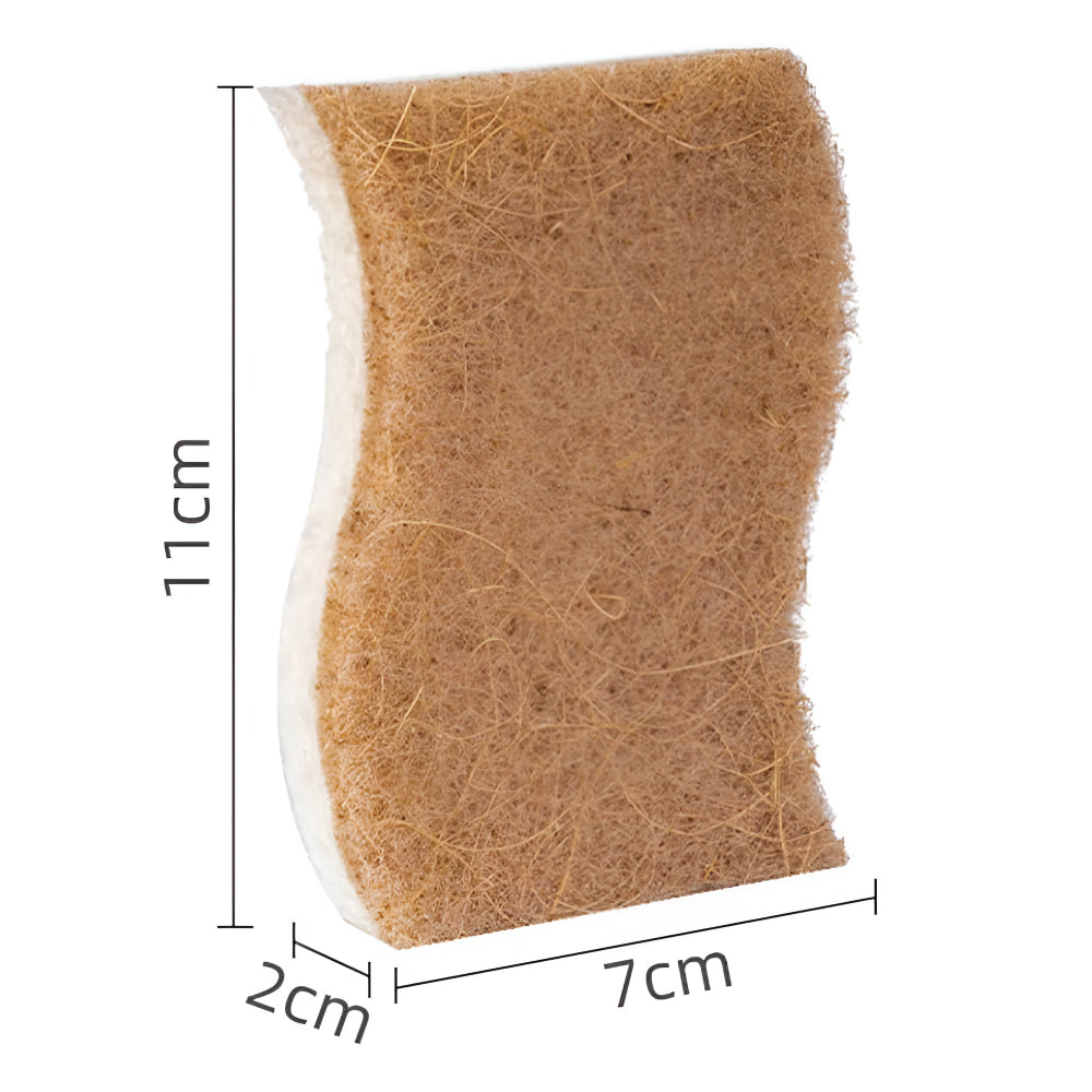Éponge naturelle en fibre de coco