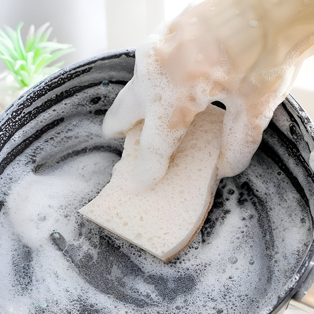 Éponge naturelle en fibre de coco