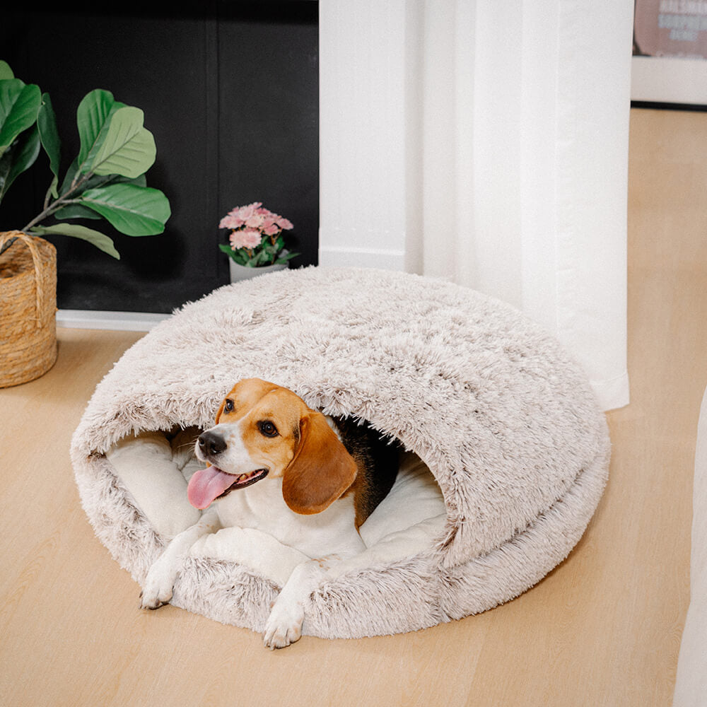 Panier semi-ferme pour chat