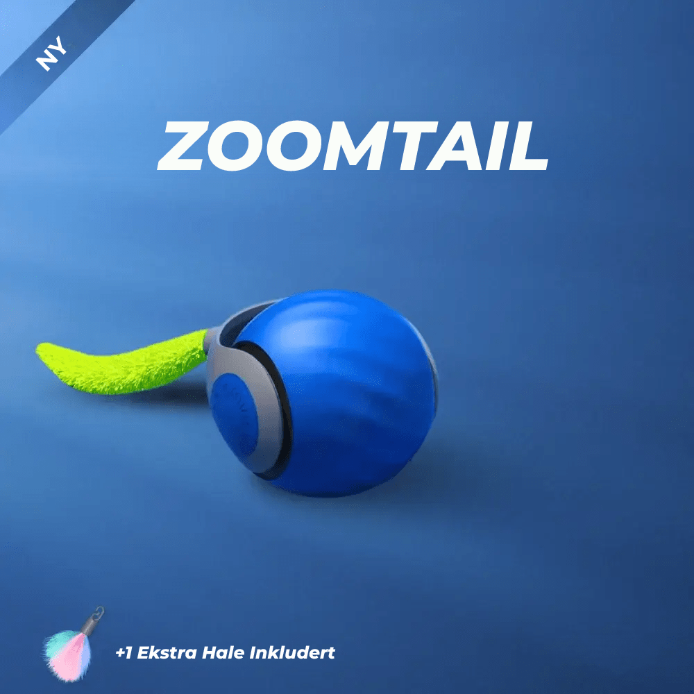 ZoomTail – Jouet Interactif pour Chat