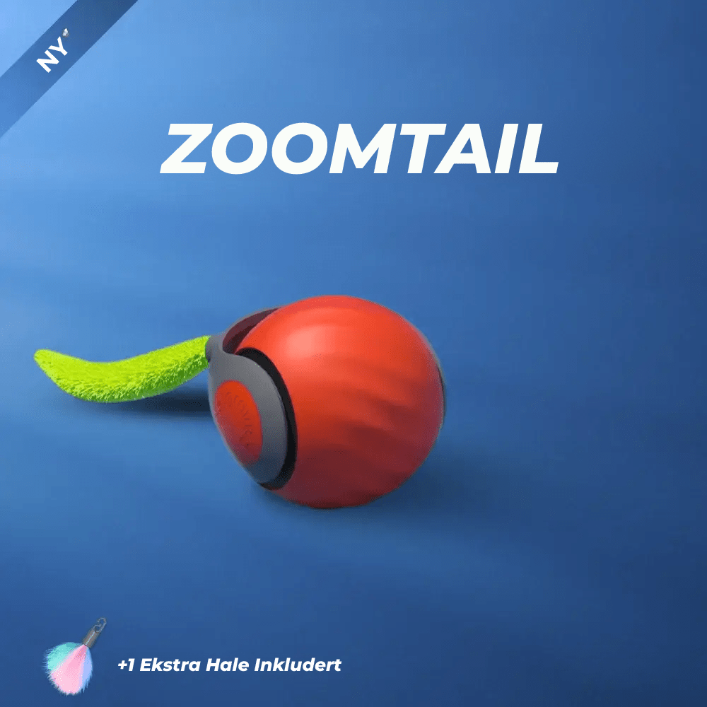 ZoomTail – Jouet Interactif pour Chat