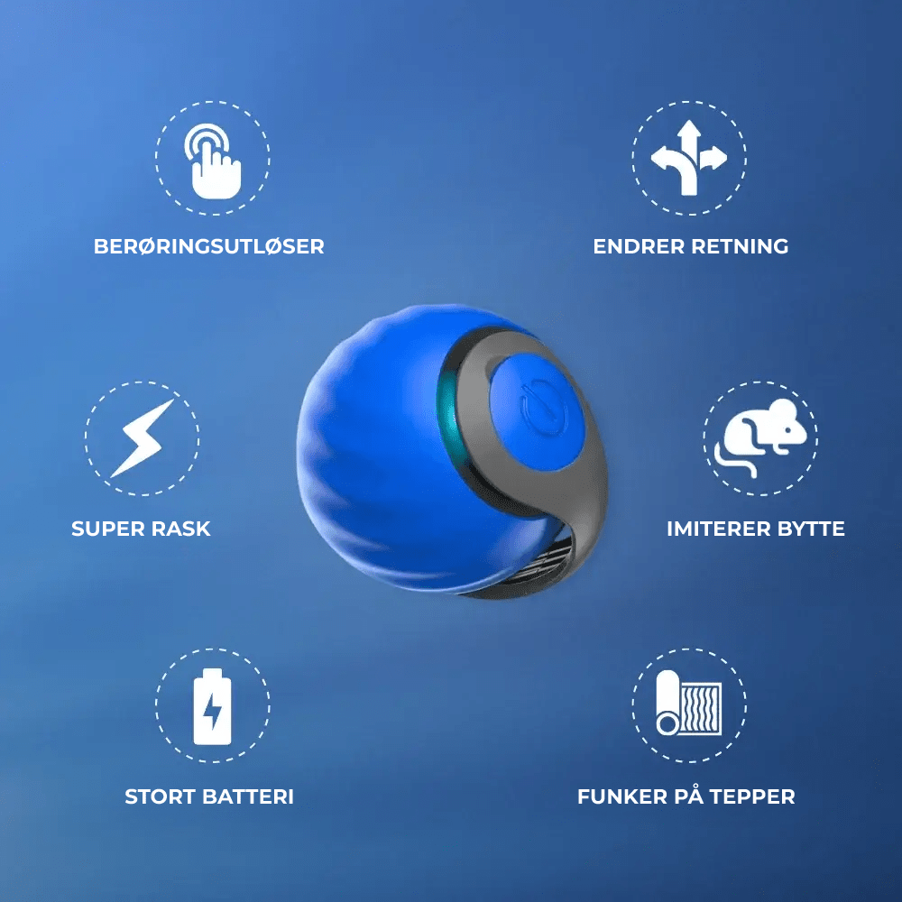 ZoomTail – Jouet Interactif pour Chat