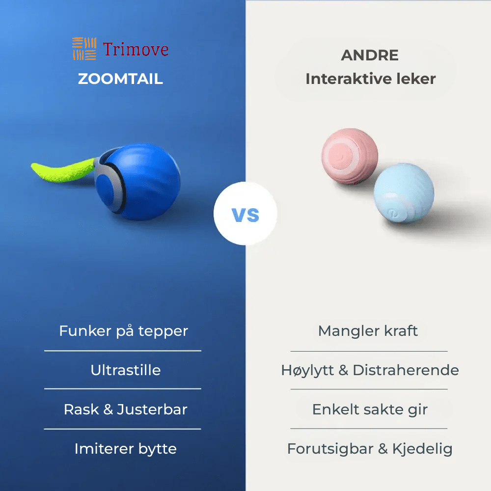 ZoomTail – Jouet Interactif pour Chat