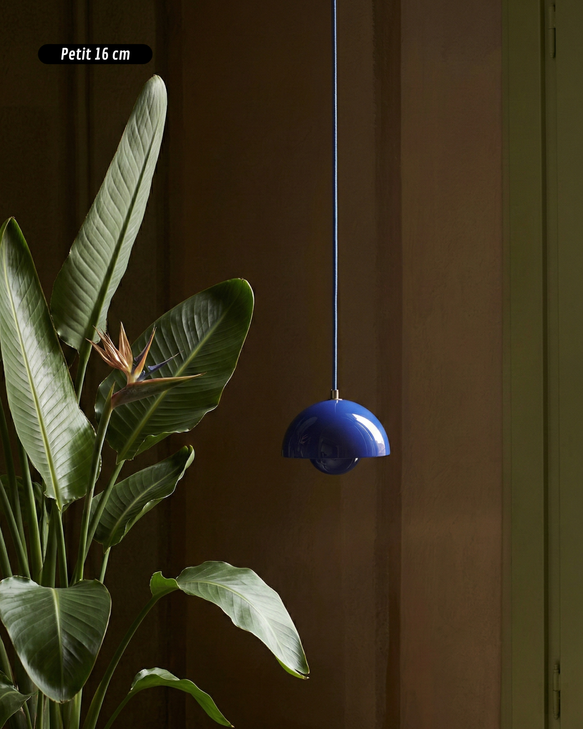 Suspension | NEDO